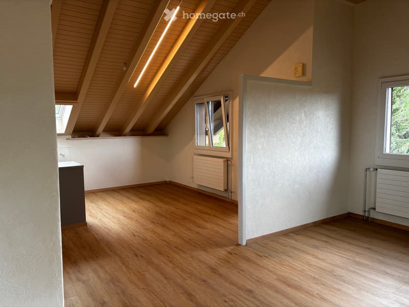Loft-Charakter mit traumhafter Aussicht – frisch sanierte 1.5-Zimmer-Dachwohnung mit eigenem Eingang (3)