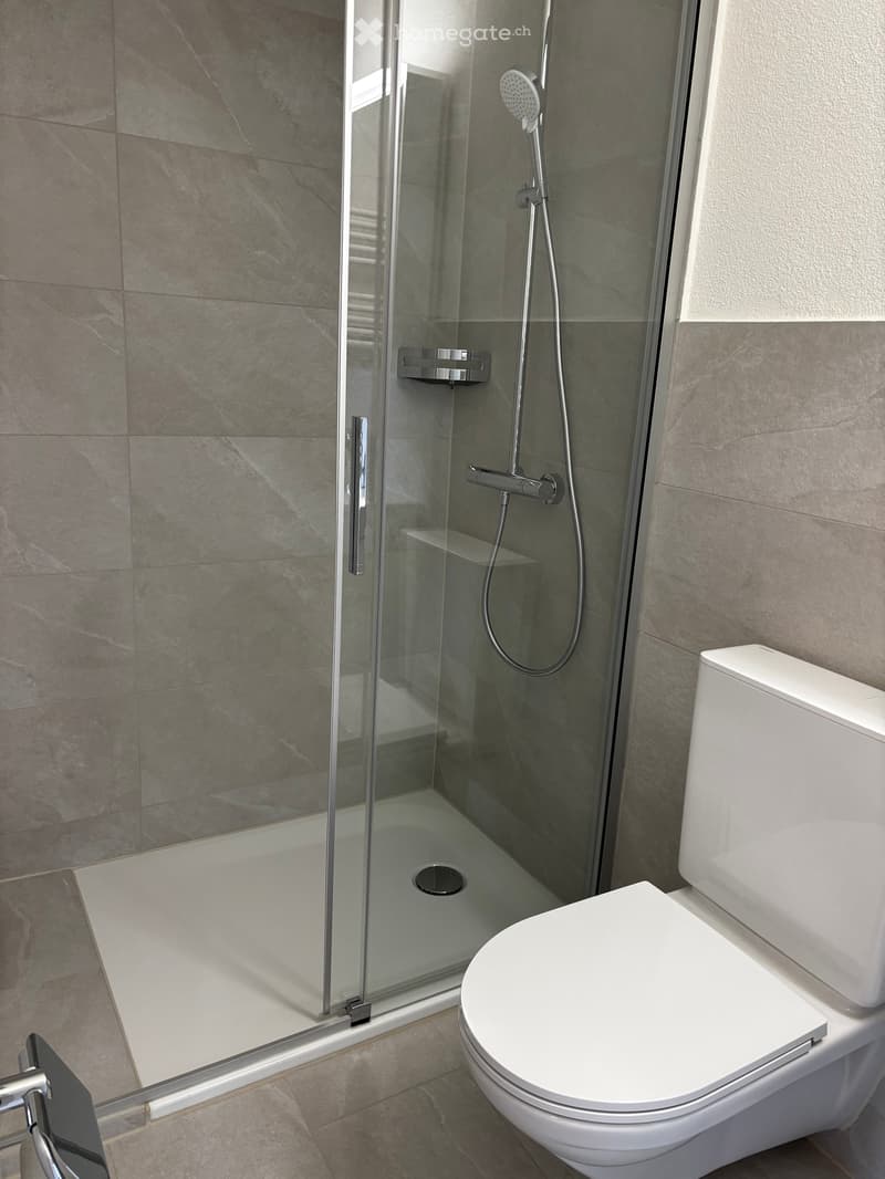 Loft-Charakter mit traumhafter Aussicht – frisch sanierte 1.5-Zimmer-Dachwohnung mit eigenem Eingang (8)