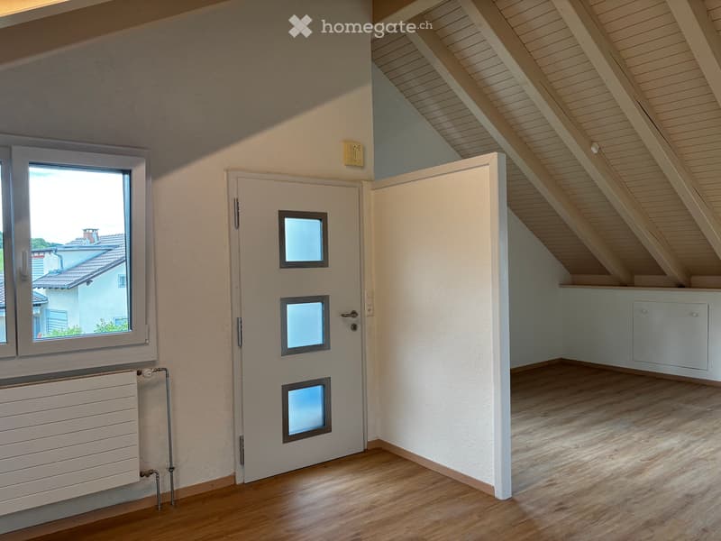 Loft-Charakter mit traumhafter Aussicht – frisch sanierte 1.5-Zimmer-Dachwohnung mit eigenem Eingang (5)