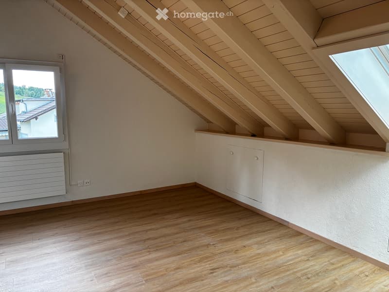 Loft-Charakter mit traumhafter Aussicht – frisch sanierte 1.5-Zimmer-Dachwohnung mit eigenem Eingang (6)