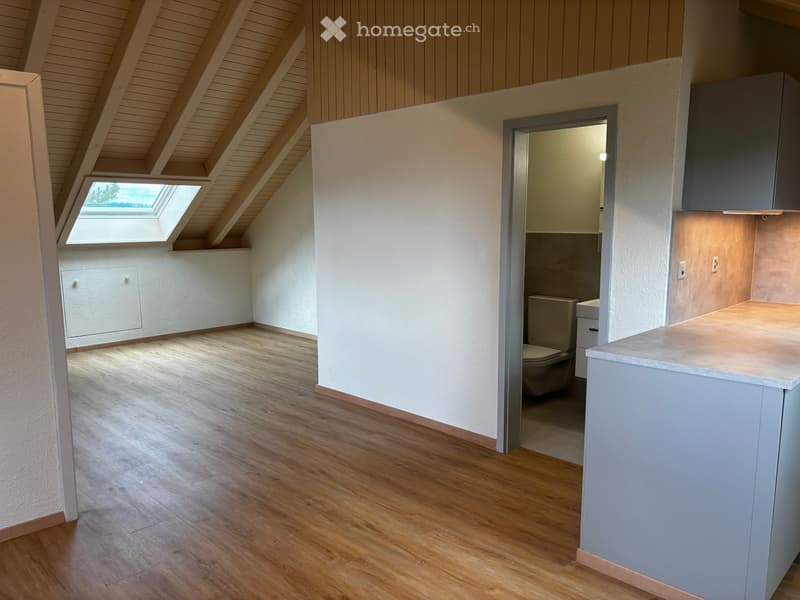 Loft-Charakter mit traumhafter Aussicht – frisch sanierte 1.5-Zimmer-Dachwohnung mit eigenem Eingang (7)