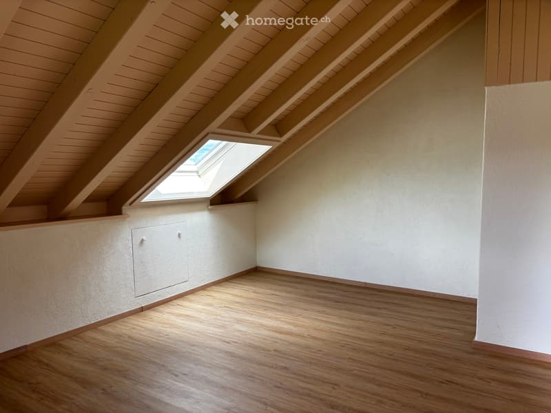 Loft-Charakter mit traumhafter Aussicht – frisch sanierte 1.5-Zimmer-Dachwohnung mit eigenem Eingang (2)