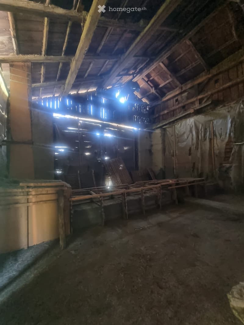 Empty basement or garage space with exposed wooden beams, concrete floor, and minimal lighting. No furniture or equipment present.