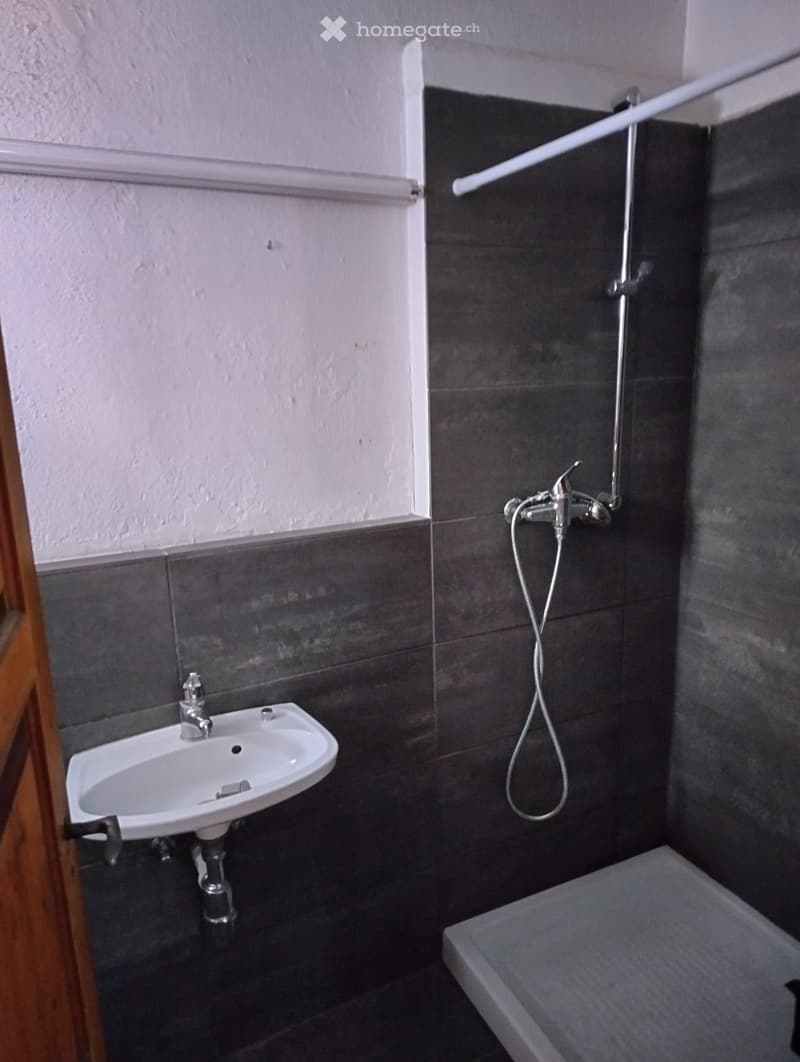 Small bathroom with a white sink, silver faucet, and a shower area with a handheld showerhead and hose. Dark grey tiles on walls and floor.
