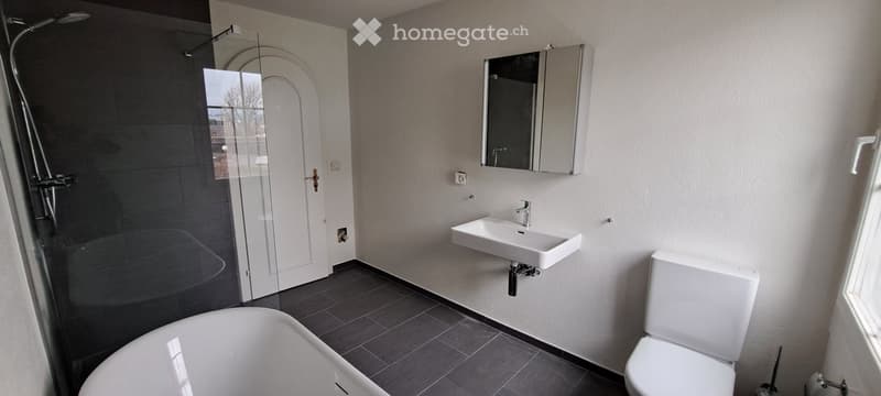 Modern bathroom with a bathtub, toilet, sink, mirror, and glass-enclosed shower. Grey tiles and white fixtures.