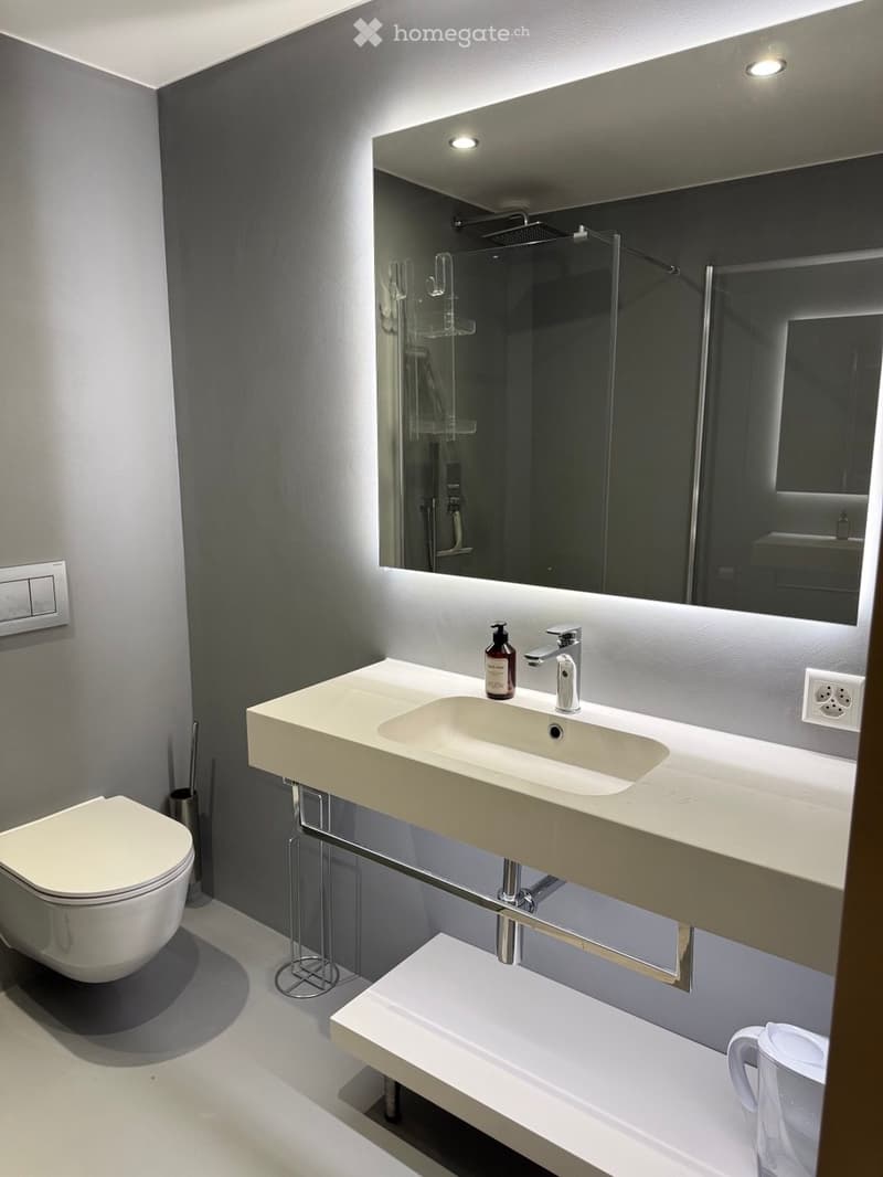 Modern bathroom with a white toilet, a large sink with a modern faucet, a large mirror, and a glass-enclosed shower area.