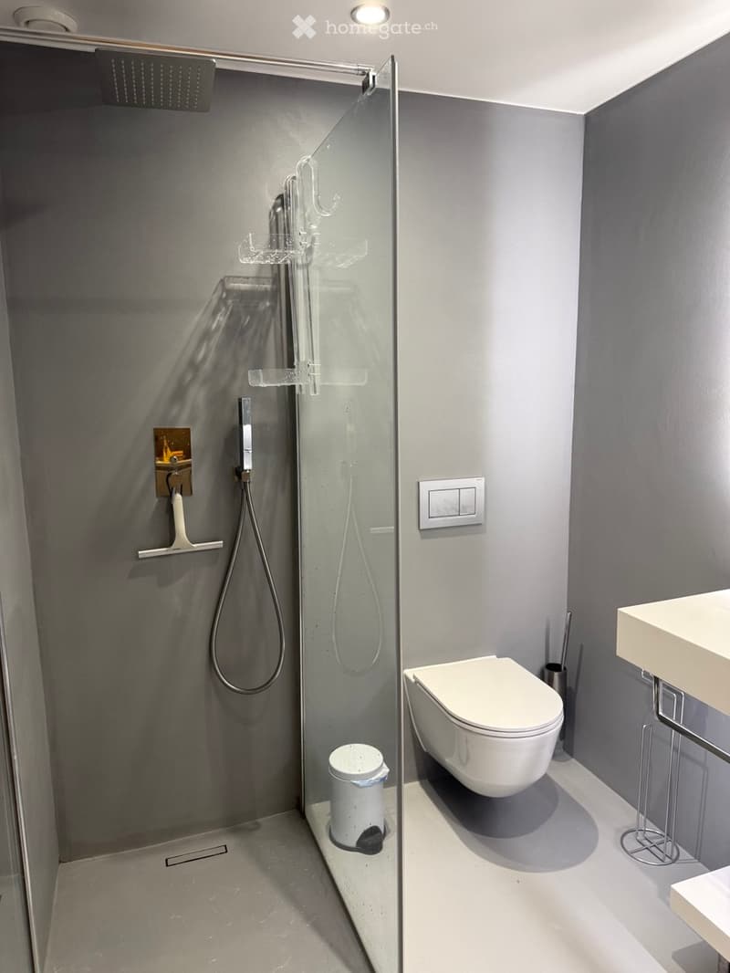 Modern bathroom with grey walls, white toilet, sink, and glass-enclosed shower with a handheld showerhead and fixed showerhead. Includes a small trash bin inside the shower area.
