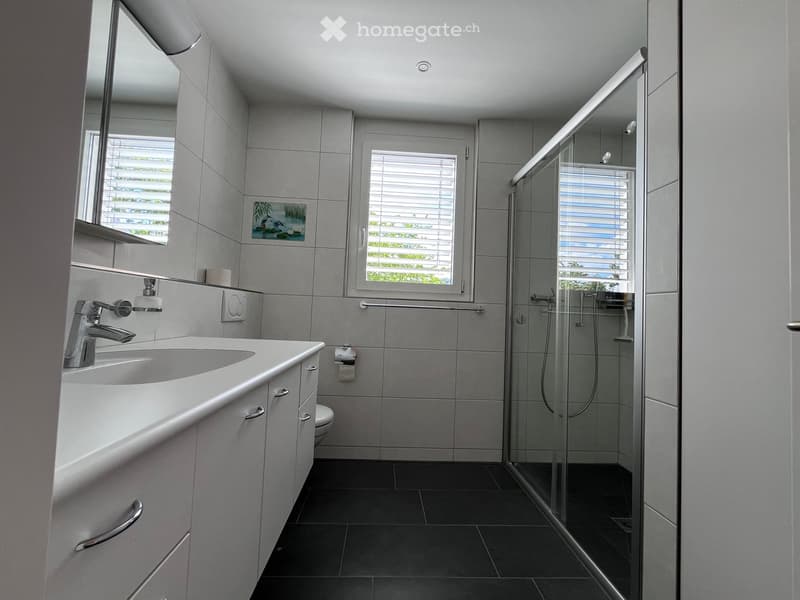 Modern bathroom with white cabinets, a sink, a mirror, a toilet, and a glass-enclosed shower. The room features grey tiles and has two windows with blinds.