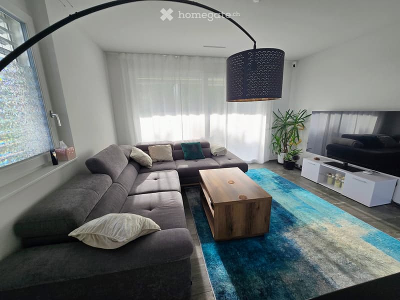 Modern living room with a grey sectional sofa, wooden coffee table, large blue rug, and a TV stand with a television. The room features large windows with white curtains and a floor lamp with a dark shade.