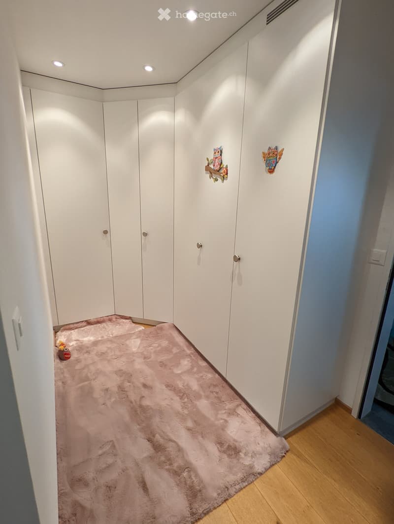 A narrow hallway with white built-in wardrobes, a pink shag rug, and small decorative owl wall hangings.