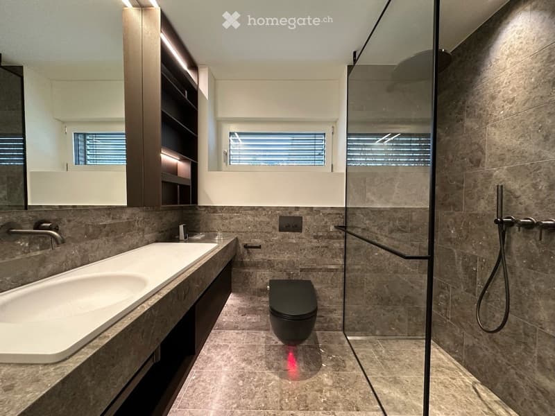 Modern bathroom with a large sink, toilet, and walk-in shower with glass enclosure. Features include built-in cabinets, sleek fixtures, and large windows with blinds.