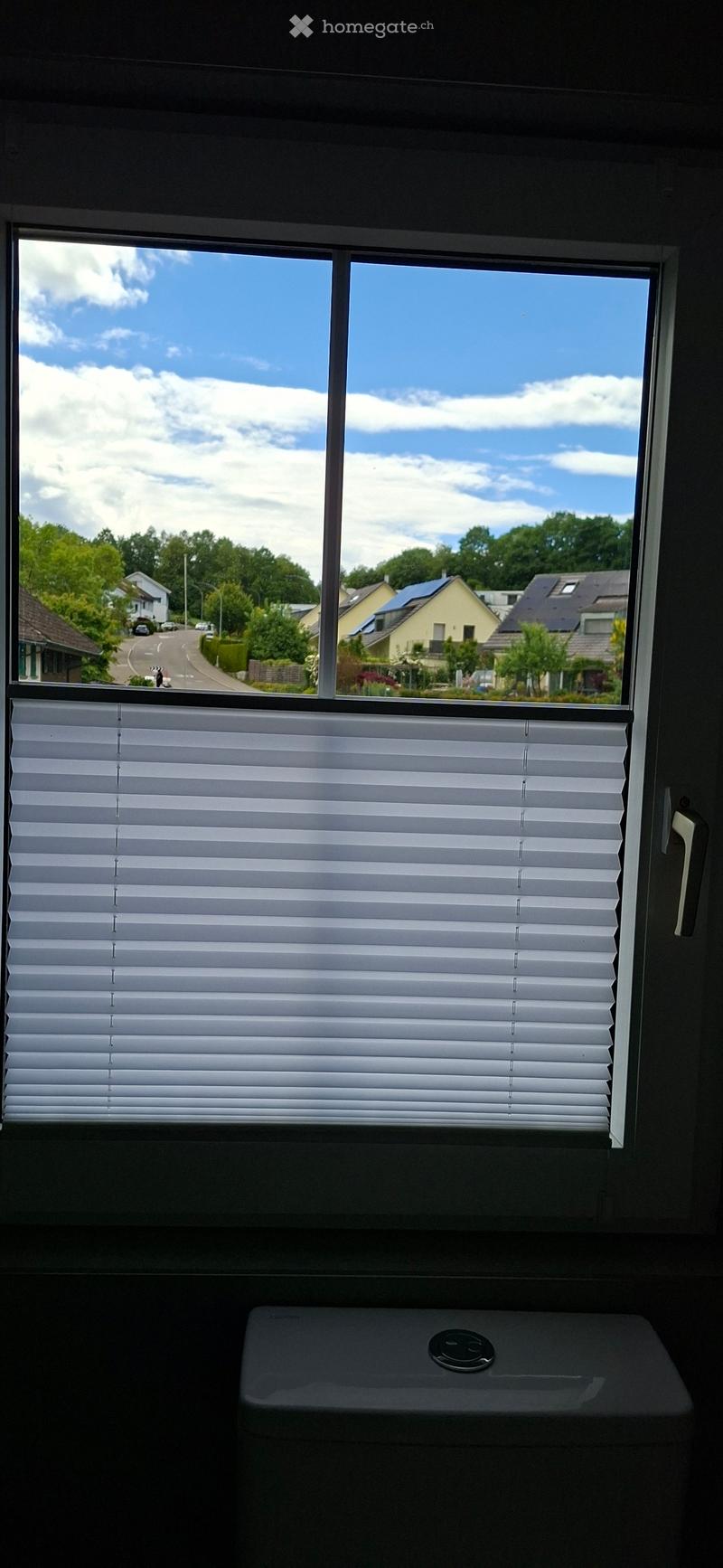 Window with white blinds, showing a view of a suburban street with houses and trees.