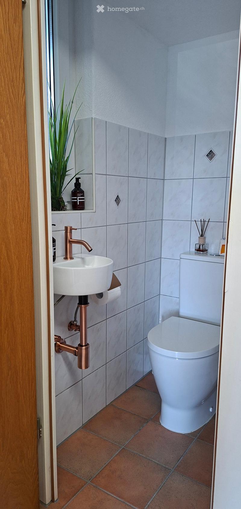 Modern bathroom with white tiles, a white toilet, a white sink with a copper faucet, a mirror, and a small plant on the shelf.