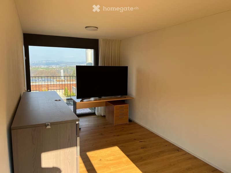 Modern furnished room with wooden flooring, large window offering a scenic view, television on a wooden stand, and a cabinet.