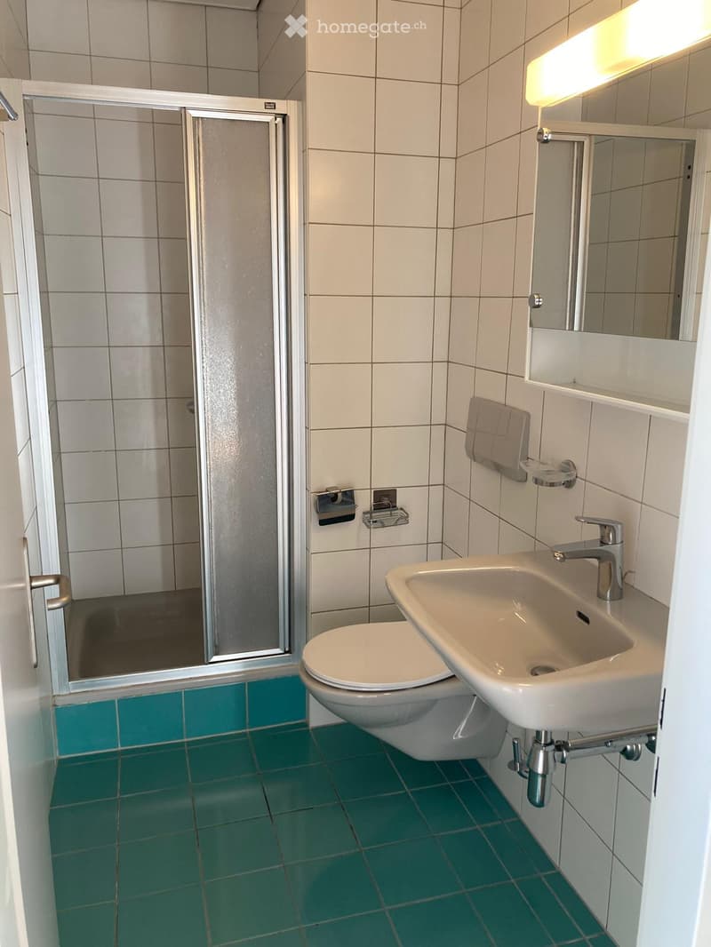 Modern bathroom with white tiles, green floor tiles, a toilet, a sink with a faucet, a mirror, a shower with a glass door, and a towel rack.
