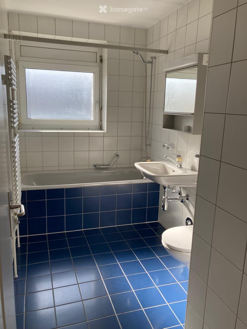 Bathroom with blue tiled floor, bathtub, sink, toilet, mirror, and showerhead.