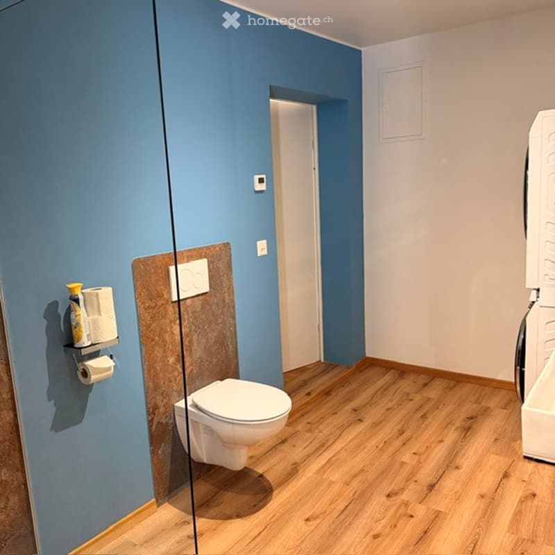 Modern bathroom with blue walls, wooden flooring, toilet, toilet paper holder, and cleaning supplies on a shelf.