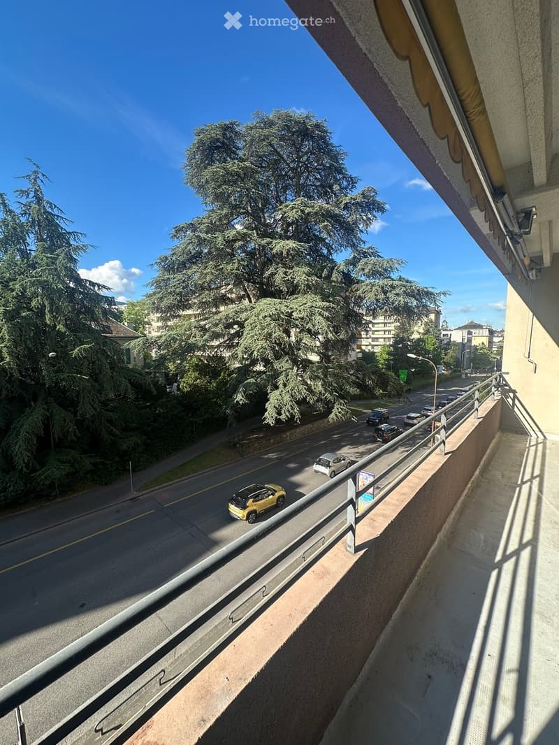 Balcony overlooking a road with passing cars, surrounded by trees and buildings.