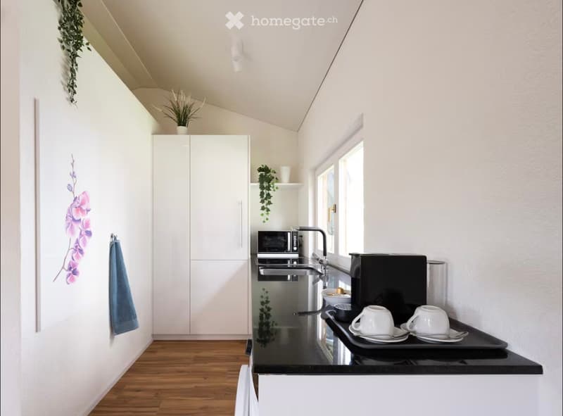 Modern kitchen with white cabinets, black countertop, stainless steel sink, microwave, coffee maker, and decorative plants.
