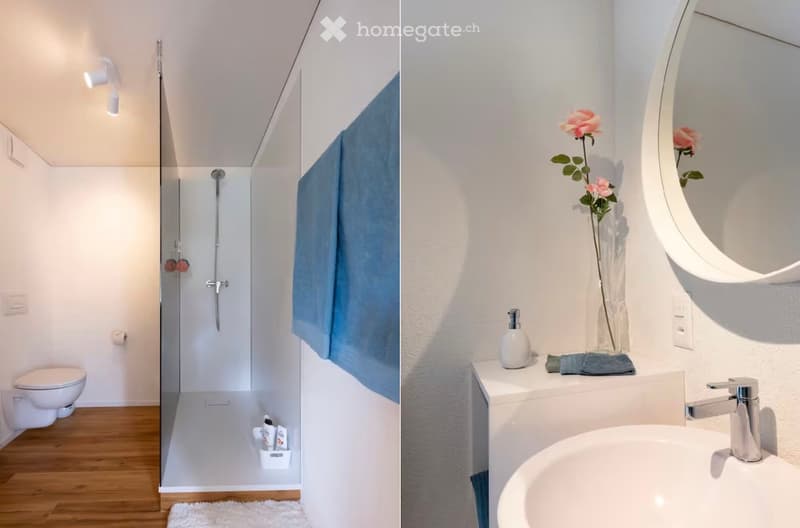 Modern bathroom with a glass-enclosed shower, toilet, sink, and a round mirror. Includes a vase with pink flowers, a towel, and a soap dispenser on the sink counter.