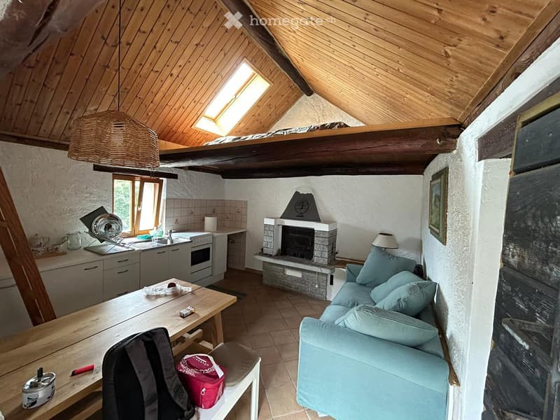 Loft-style living space with exposed wooden beams, skylight, fireplace, sofa, dining table, and kitchen area.