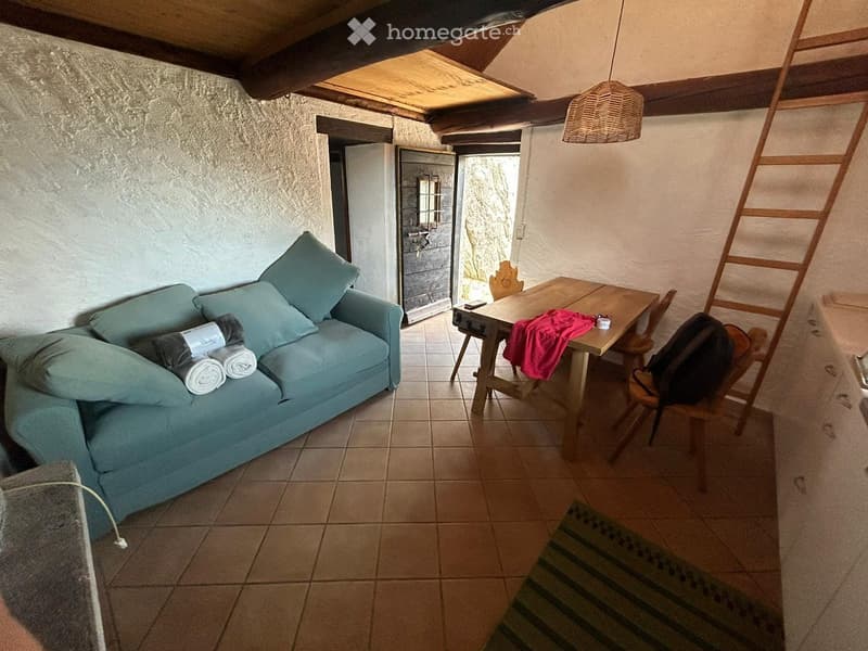 Cozy living room with a blue sofa, wooden table, and chairs. The room features exposed wooden beams and a skylight, with a small rug on the floor.