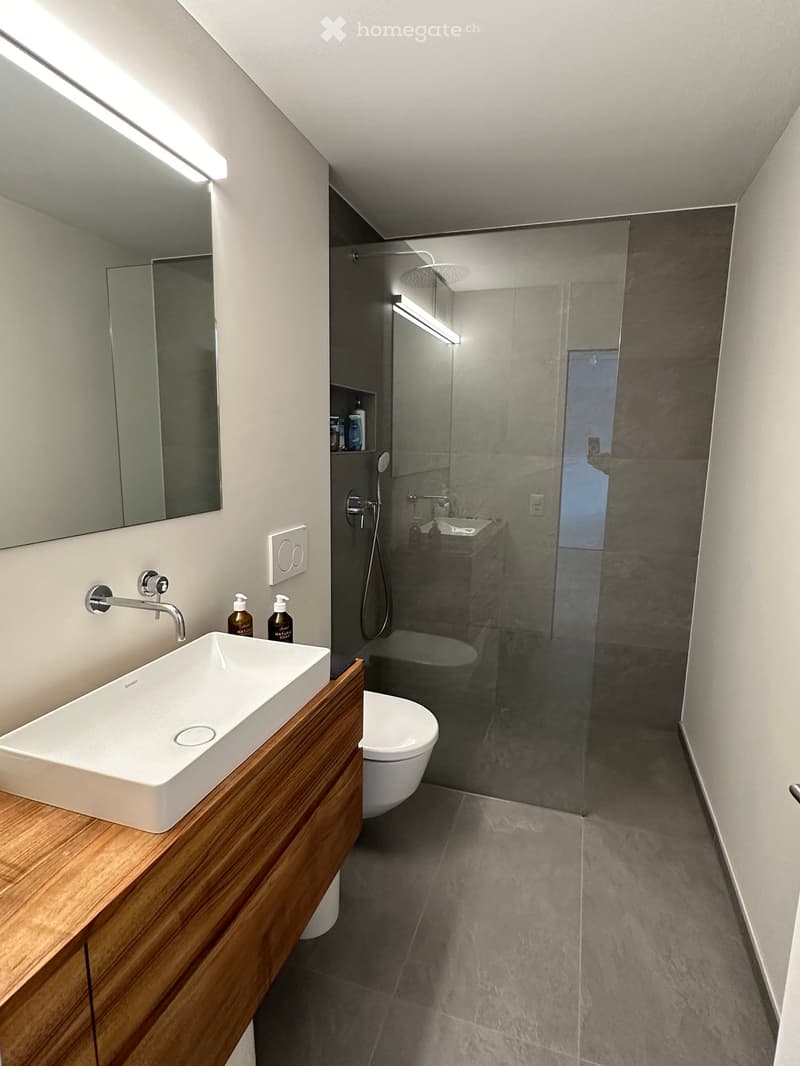 Modern bathroom with a white sink, wooden vanity, large mirror, glass-enclosed shower, and toilet.