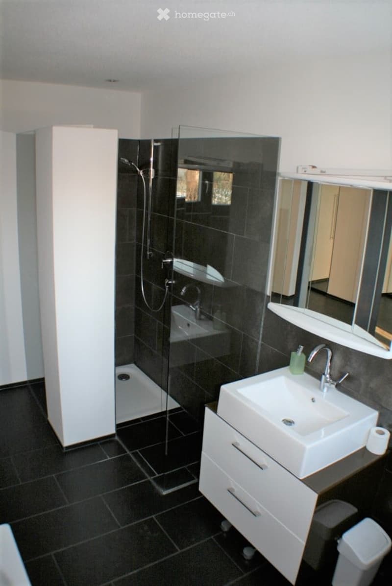 Modern bathroom with black tiled walls and floor, white sink with faucet, mirrored cabinet, and glass-enclosed shower area.