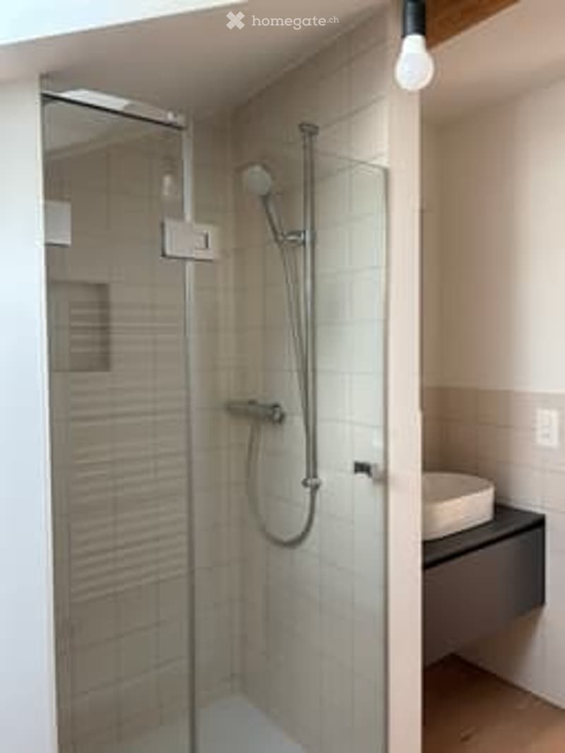 Modern bathroom with a glass-enclosed shower stall, a sleek sink with a modern faucet, and a dark-colored cabinet beneath the sink.