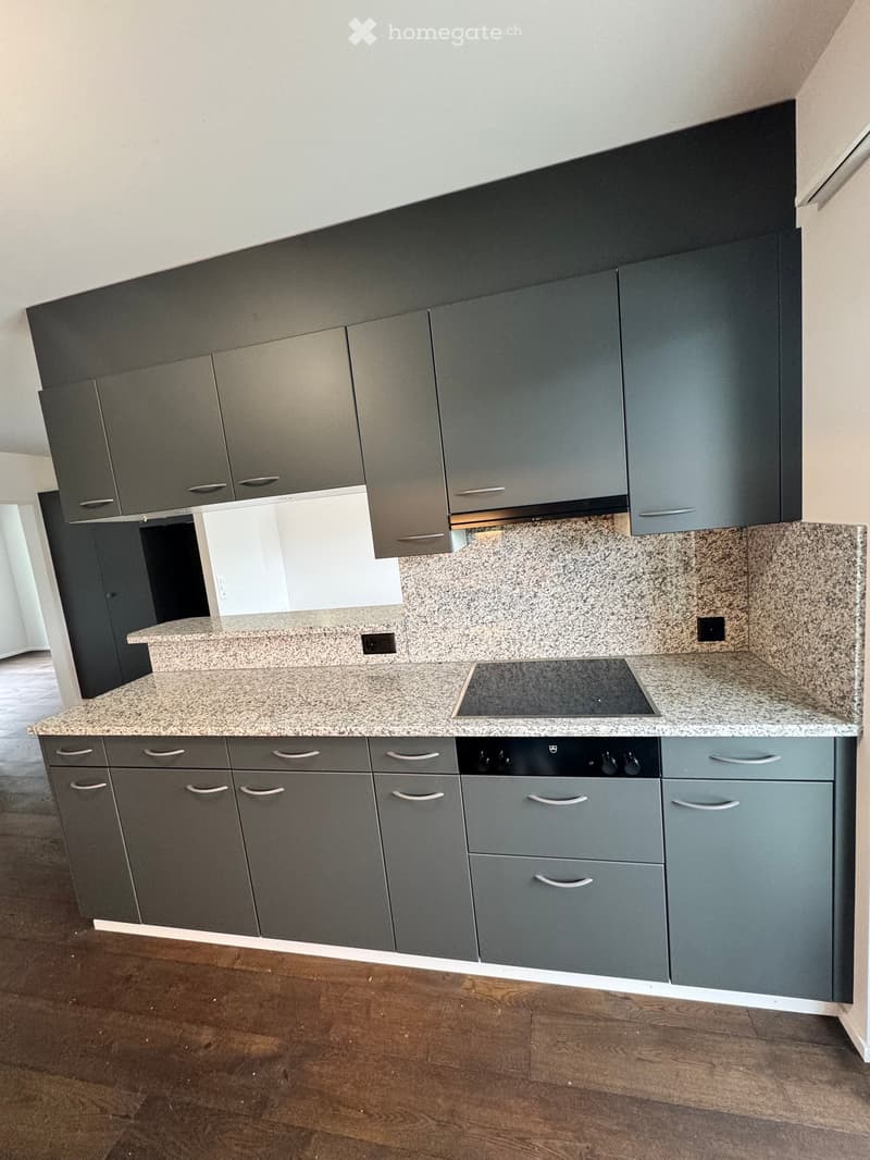 Modern kitchen with grey cabinets, granite countertop, built-in stove, and dishwasher. Wooden flooring throughout.