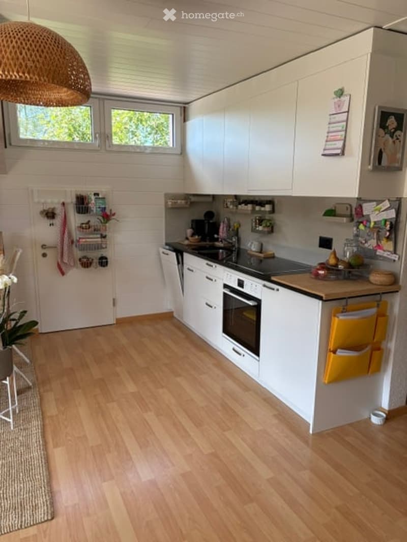Modern kitchen with white cabinets, wooden flooring, and stainless steel appliances including an oven, dishwasher, and sink. Features a pendant light, a small plant, and various kitchen accessories on the counter and shelves.