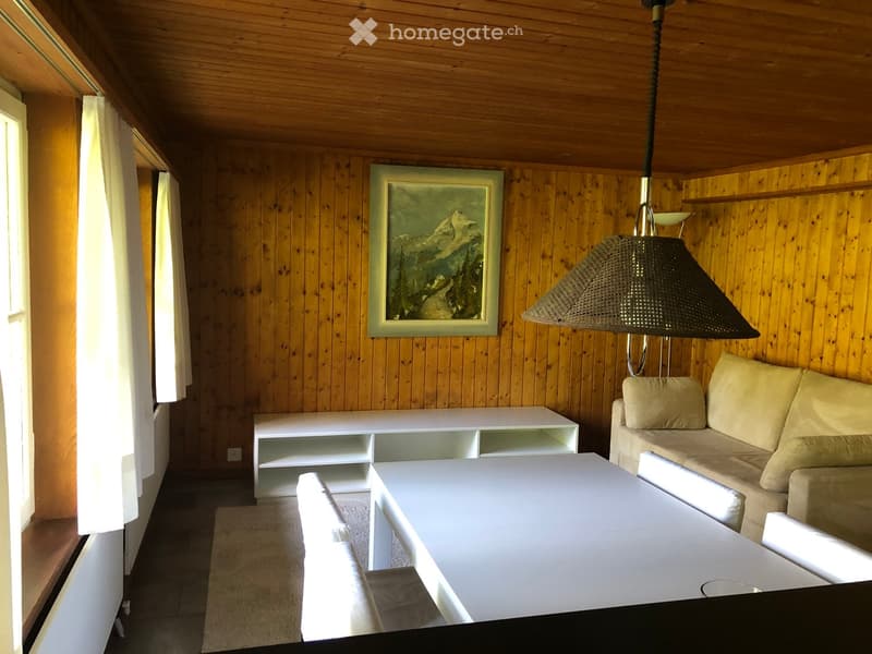 Cozy living room with wooden walls and ceiling, a white sofa, a dining table with chairs, a white shelf unit, and a hanging pendant light.