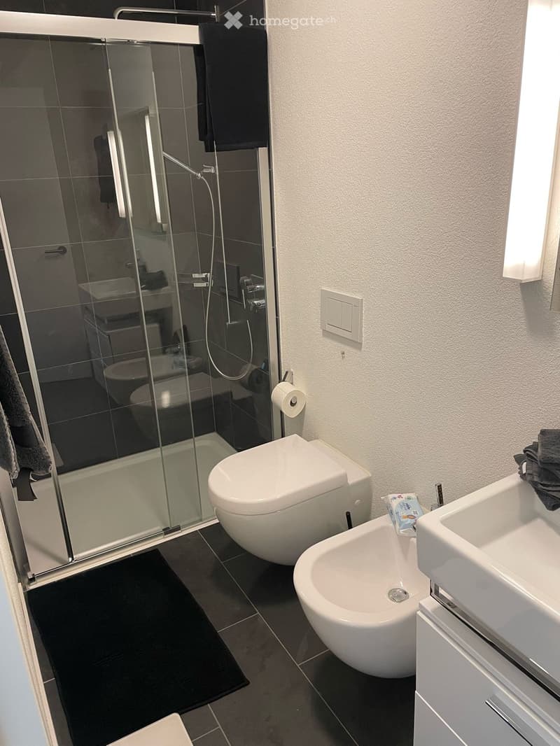 Exklusive Gartenwohnung in Seenähe, Einsiedeln (10)