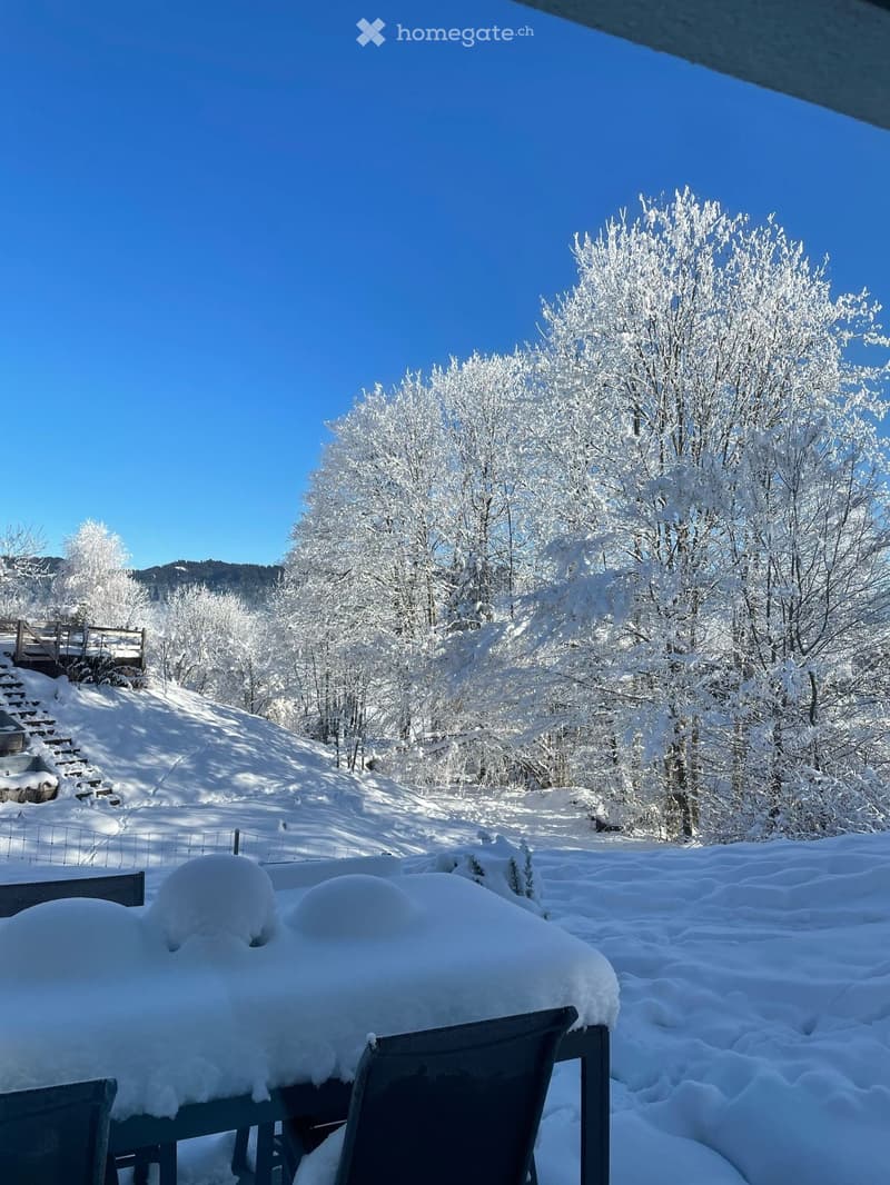 Exklusive Gartenwohnung in Seenähe, Einsiedeln (5)