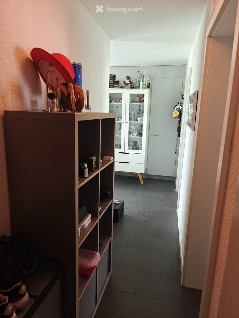 A narrow hallway with dark tiled flooring, light-colored walls, and a wooden shelf unit on the left side holding various items including shoes, a hat, and small containers. A white cabinet with glass doors is visible further down the hallway, containing b