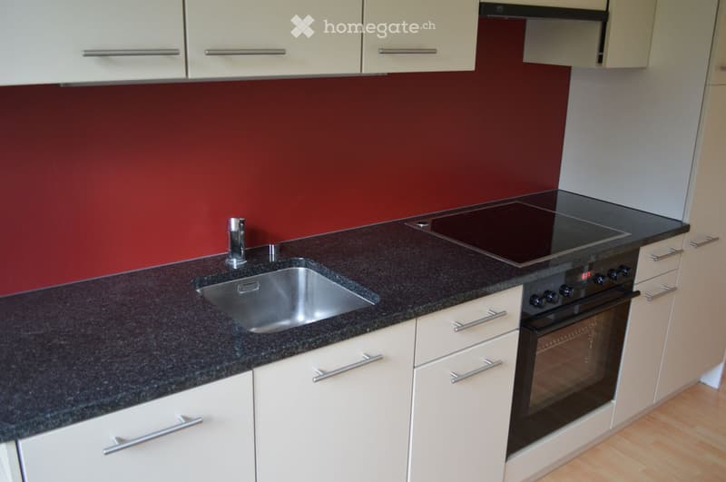 Modern kitchen with dark granite countertops, stainless steel sink, induction cooktop, and built-in oven. Light-colored cabinets with silver handles.