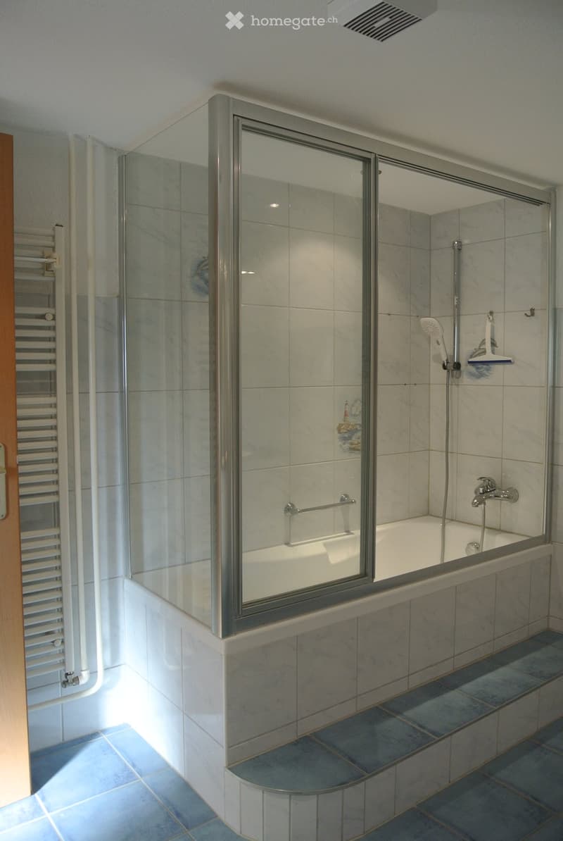 Modern bathroom with a bathtub enclosed by a glass shower enclosure, tiled walls, a handheld showerhead, and a radiator to the left.