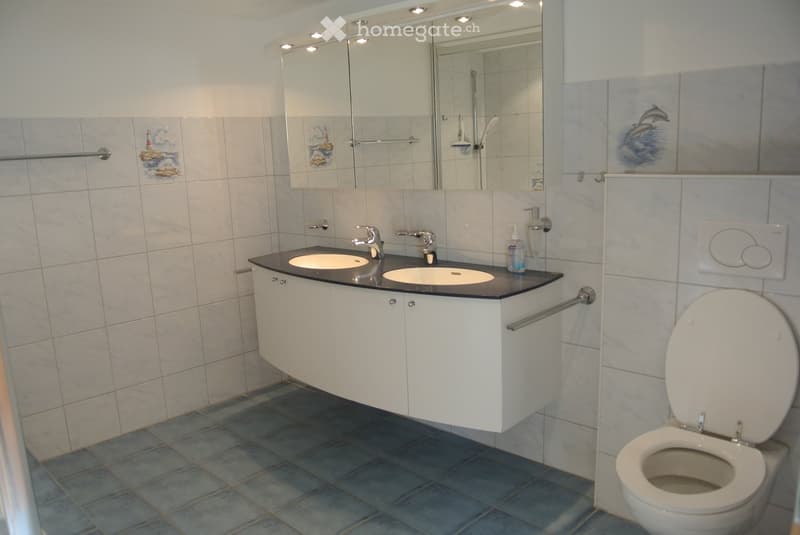Modern bathroom with two sinks, a large mirror, a toilet, and a cabinet. The walls are tiled, and the floor is covered with blue tiles.