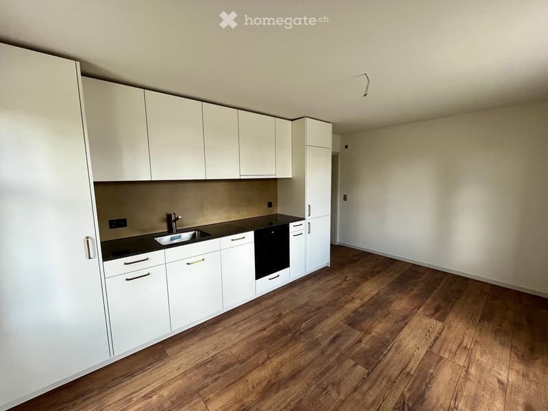 Modern kitchen with white cabinets, dark countertops, and wooden flooring.