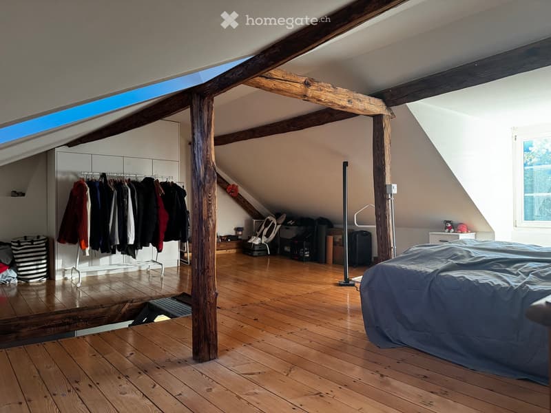 Loft-style bedroom with wooden floors, exposed wooden beams, skylight, bed, wardrobe, clothing rack, and various storage items.