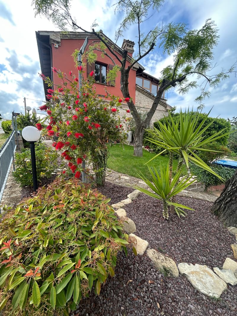 Well-maintained garden with various plants, including shrubs and trees, surrounding a red brick house. The garden features a gravel pathway, decorative rocks, and a small lawn area.