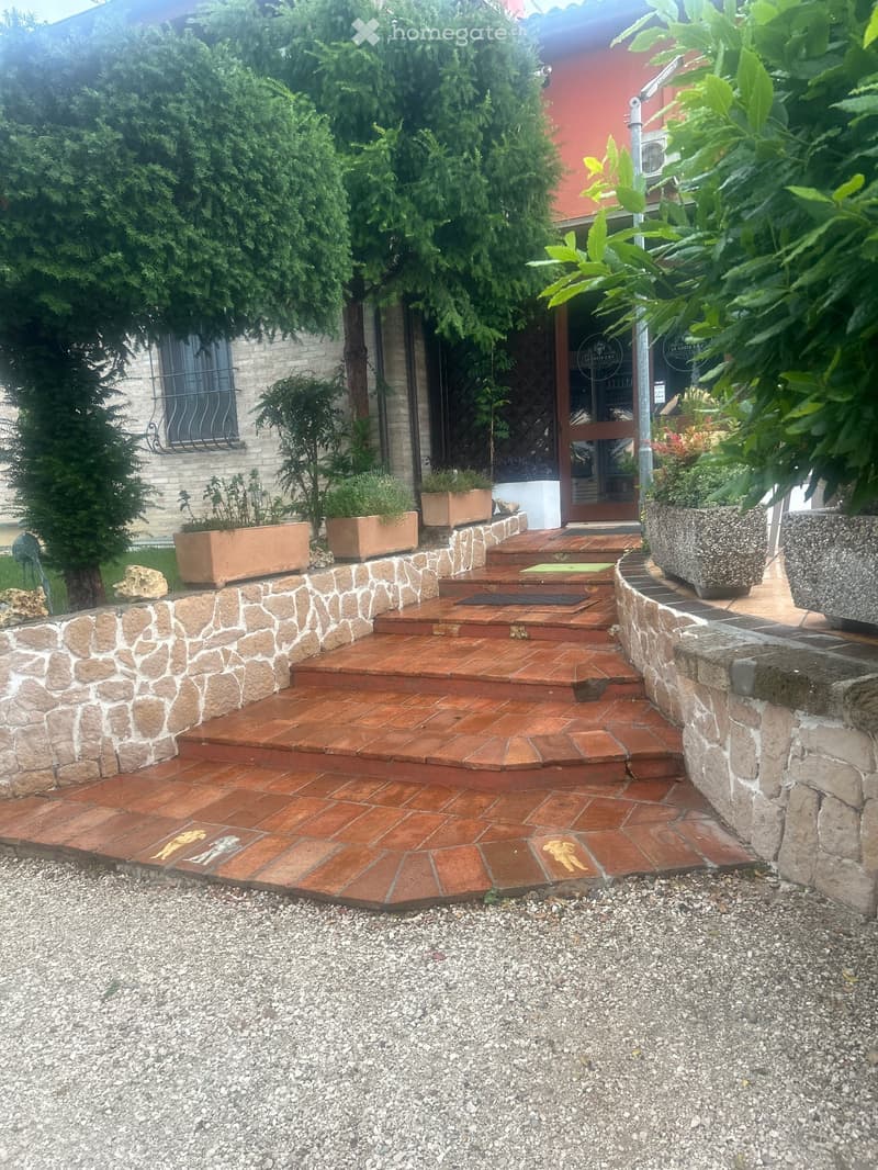 Entrance area with stone steps leading to a building, surrounded by potted plants and greenery.