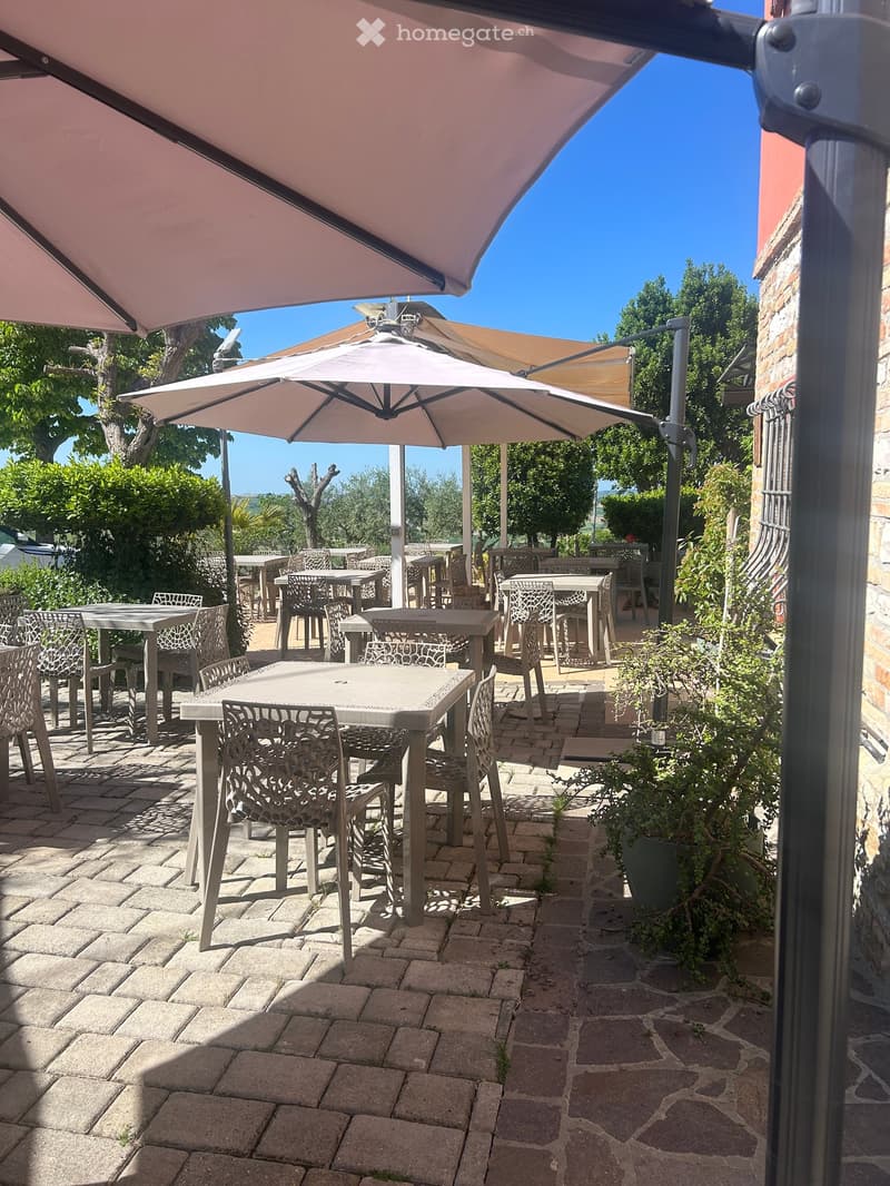An outdoor seating area with multiple tables and chairs arranged under large umbrellas, surrounded by greenery and a clear blue sky.