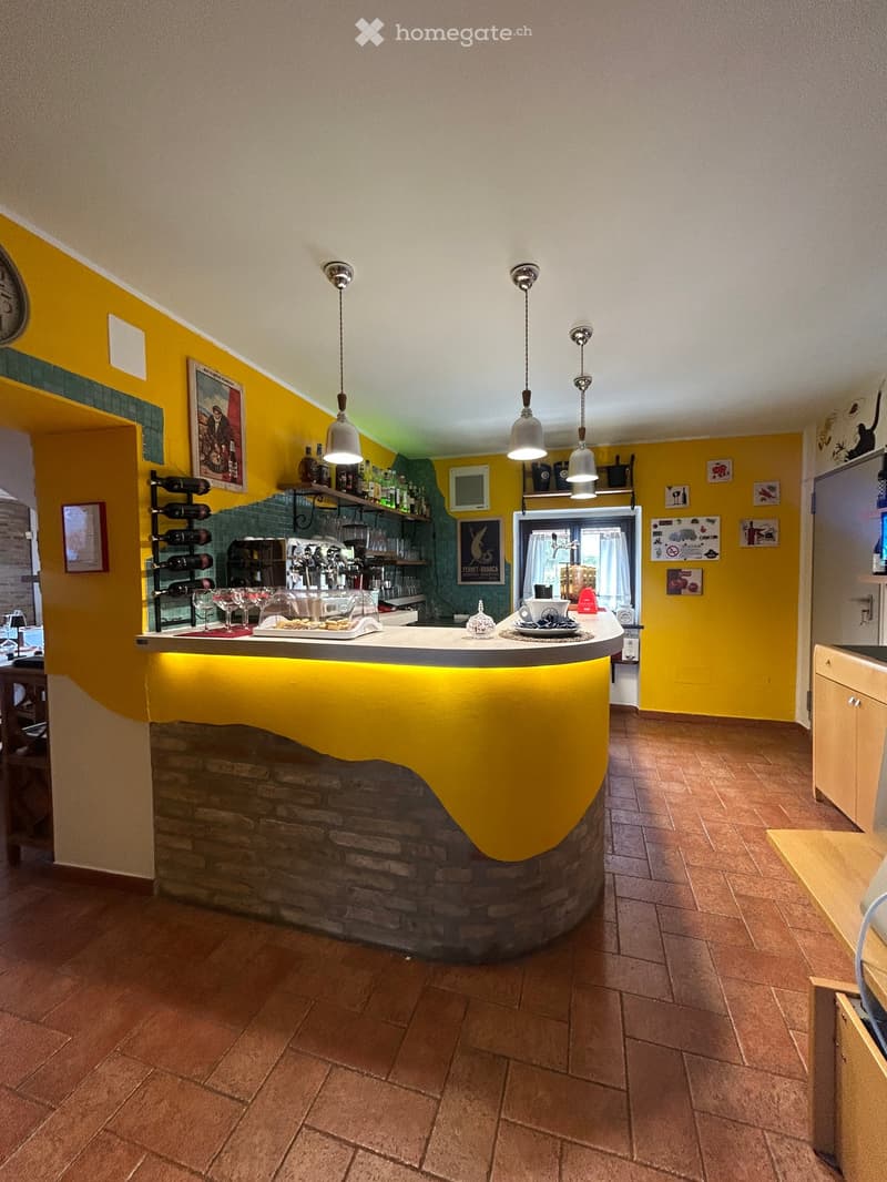 Bright kitchen with a curved bar counter, wine rack, shelves with bottles, and various kitchen appliances.