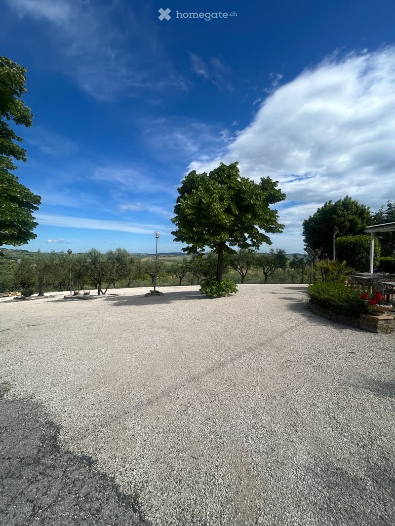 Gravel driveway surrounded by trees and greenery, with a clear blue sky and distant hills.