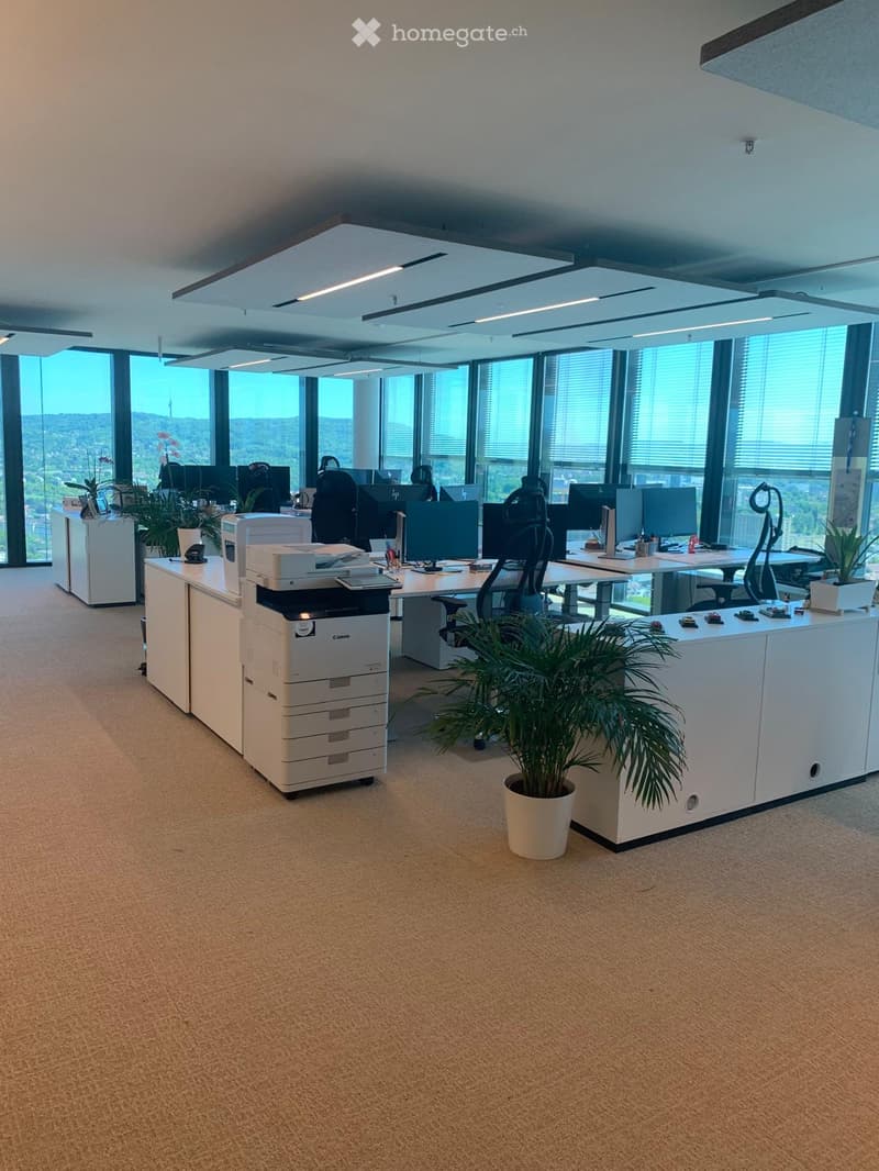 Modern office space with desks, chairs, computers, a printer, and potted plants, large windows with a scenic view.