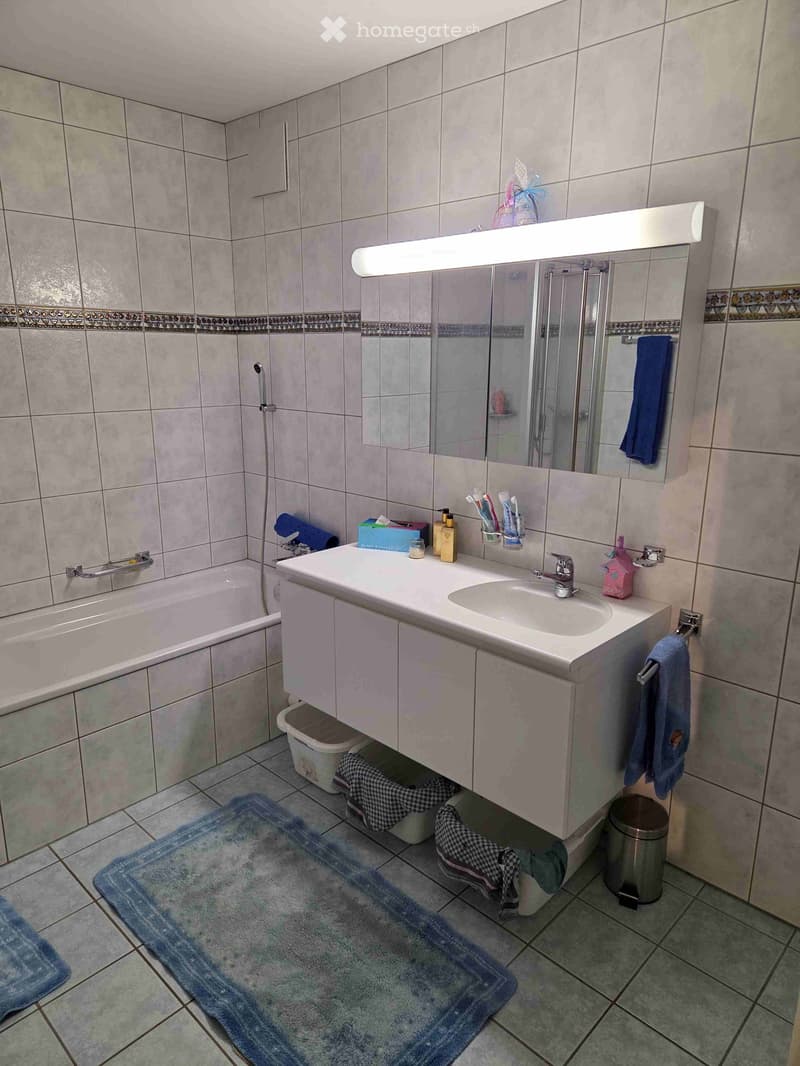 Bathroom with a double sink, mirror, bathtub, and various toiletries. Includes a towel, bathrobe, and a rug on the floor.