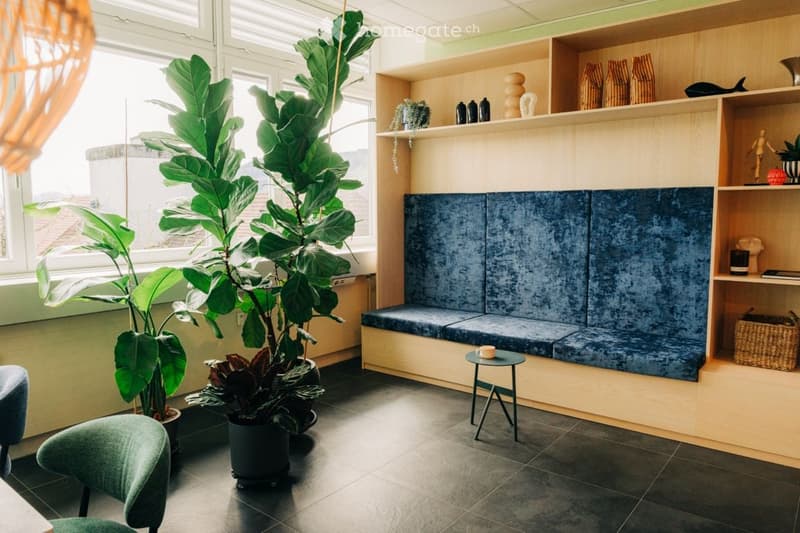 Furnished Room. Modern, well-lit room with large windows, a blue upholstered sofa, a small round table, a green armchair, and several potted plants, including a large Fiddle Leaf Fig tree. Shelves hold decorative items and books.