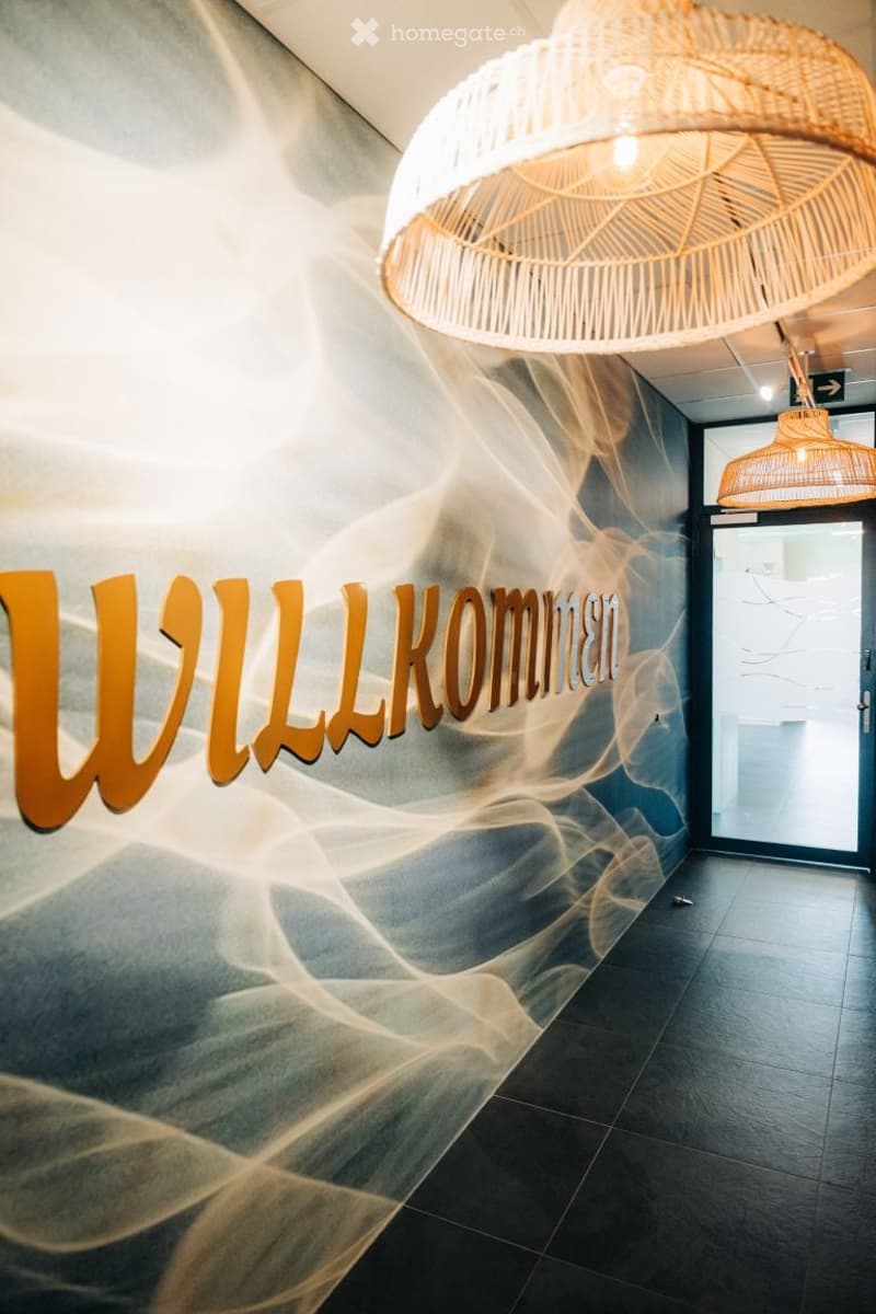 Corridor / Hallway. A modern hallway with a large, stylized "WILLKOMMEN" sign on the wall, dark tiled flooring, and woven pendant lights hanging from the ceiling. The hallway leads to a glass door.