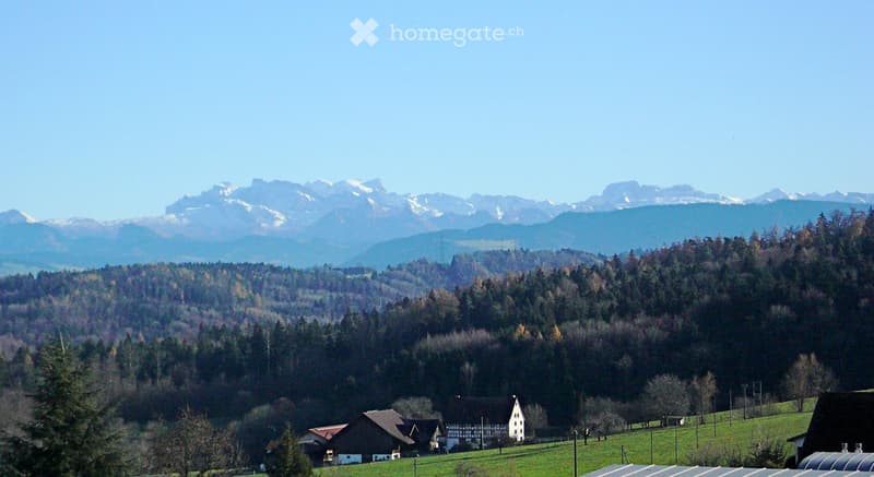 A scenic view of a rural landscape with a house, surrounded by green fields and dense forests, with snow-capped mountains in the background.